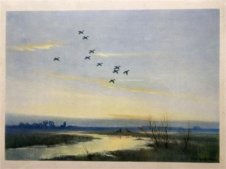 The First Of The Evening Flight by Sir Peter Markham Scott
