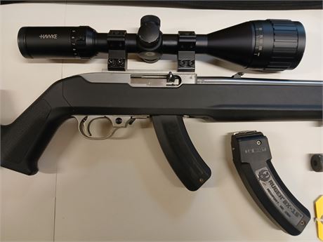 Ruger 10/22