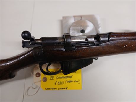 Lee Enfield SMLE in .22 Smoothbore