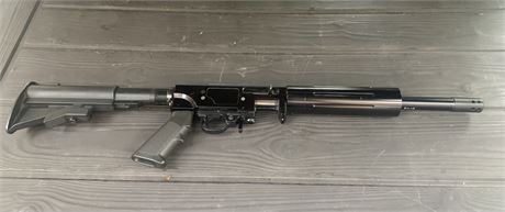.22LR CACTUS ARMS 10-22
