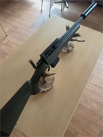 Howa 1500 .308