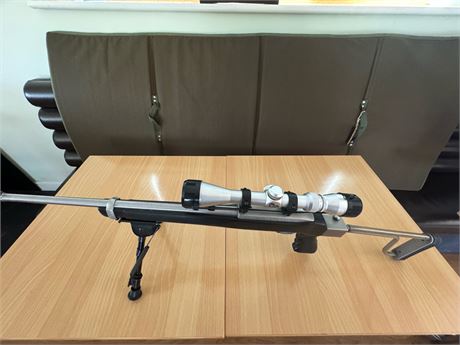 Ruger 10/22 .22LR folding stock